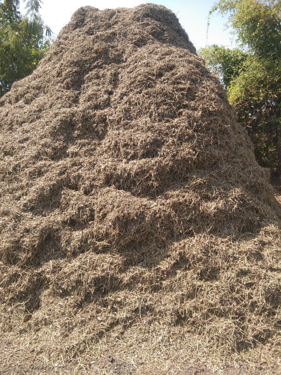 ભુકો વેચવાનો છે