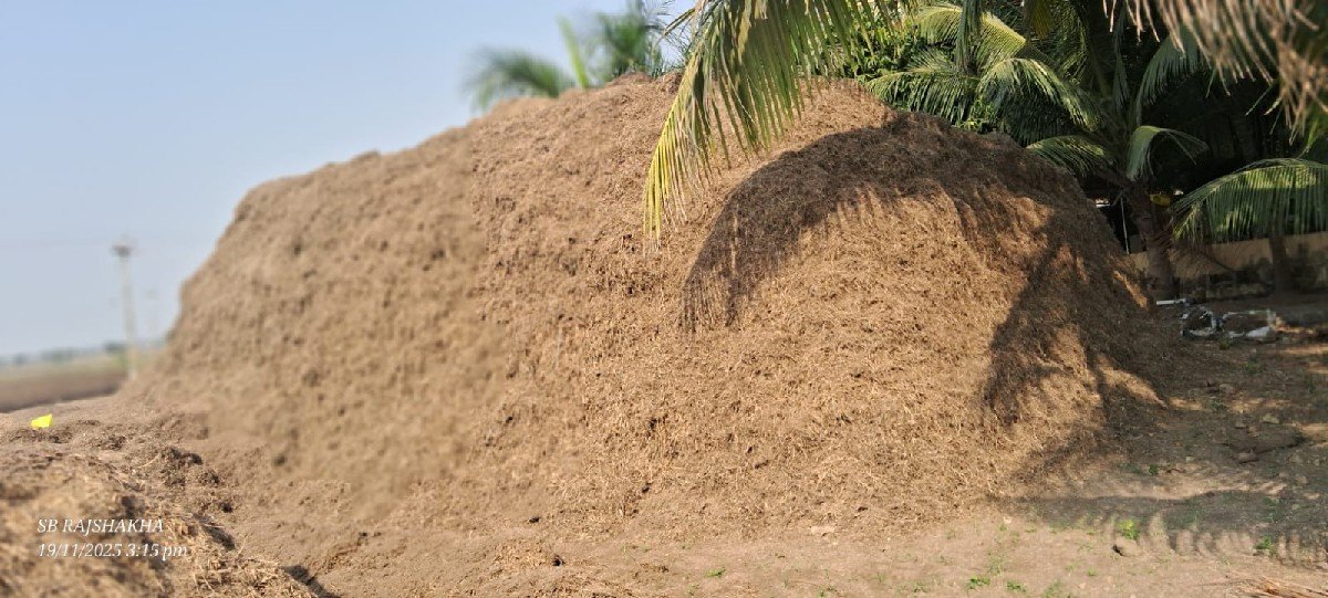મગોટું  વેચવાનું છે