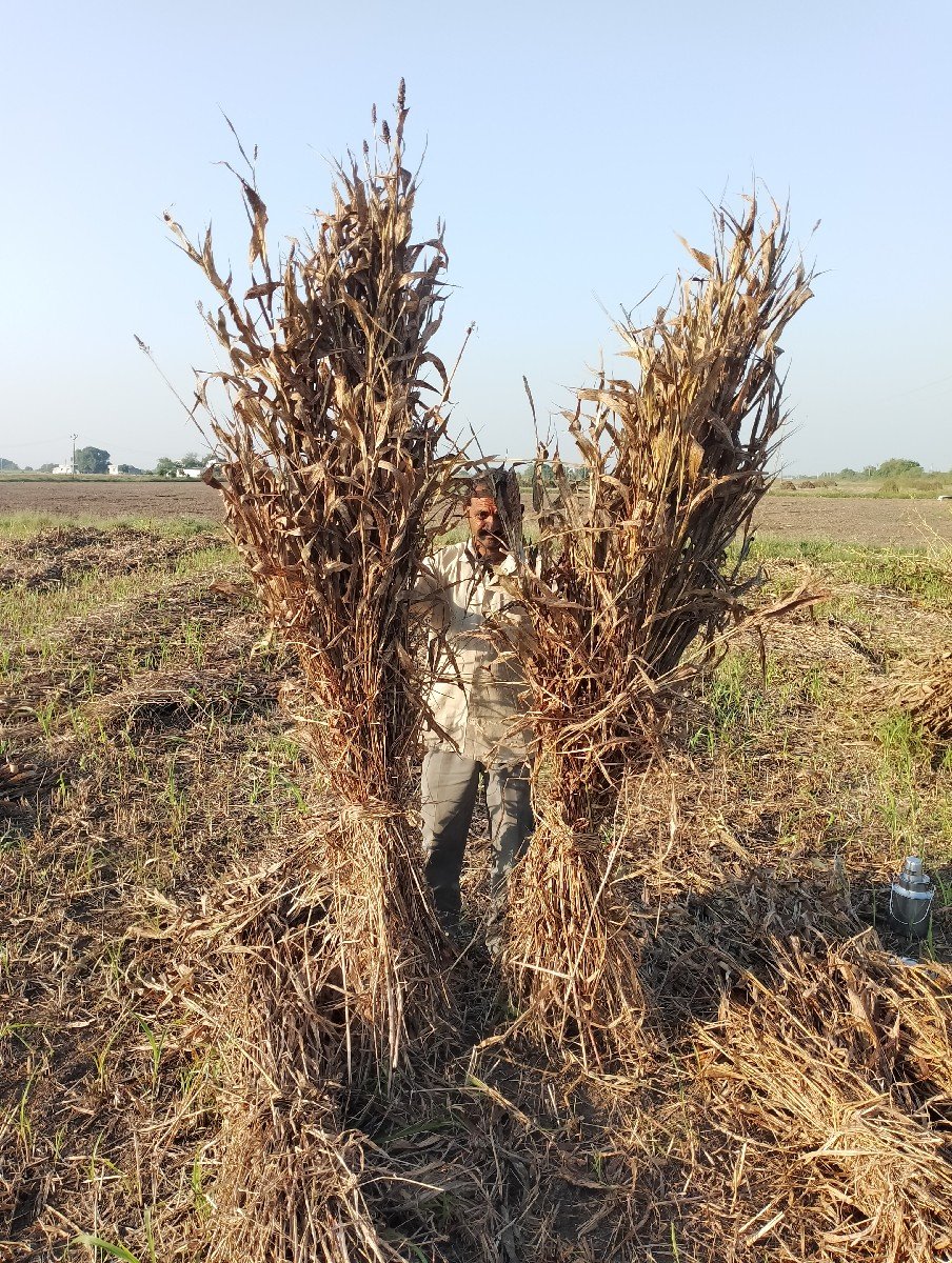 જુવાર ની નીરણ (સાર) વેચવાની છે