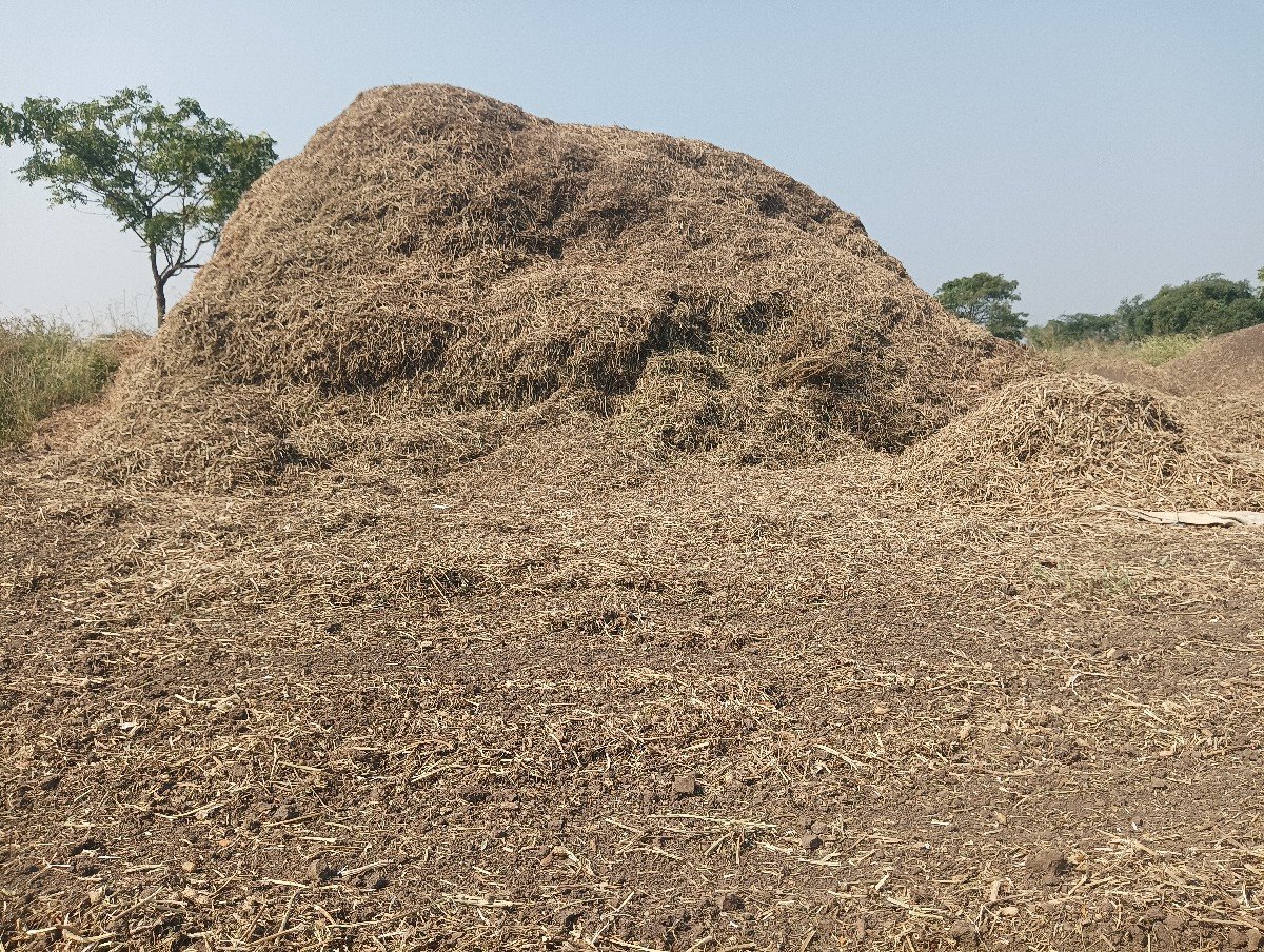માંડવીયાનો ભૂકો વેચવાનો છે
