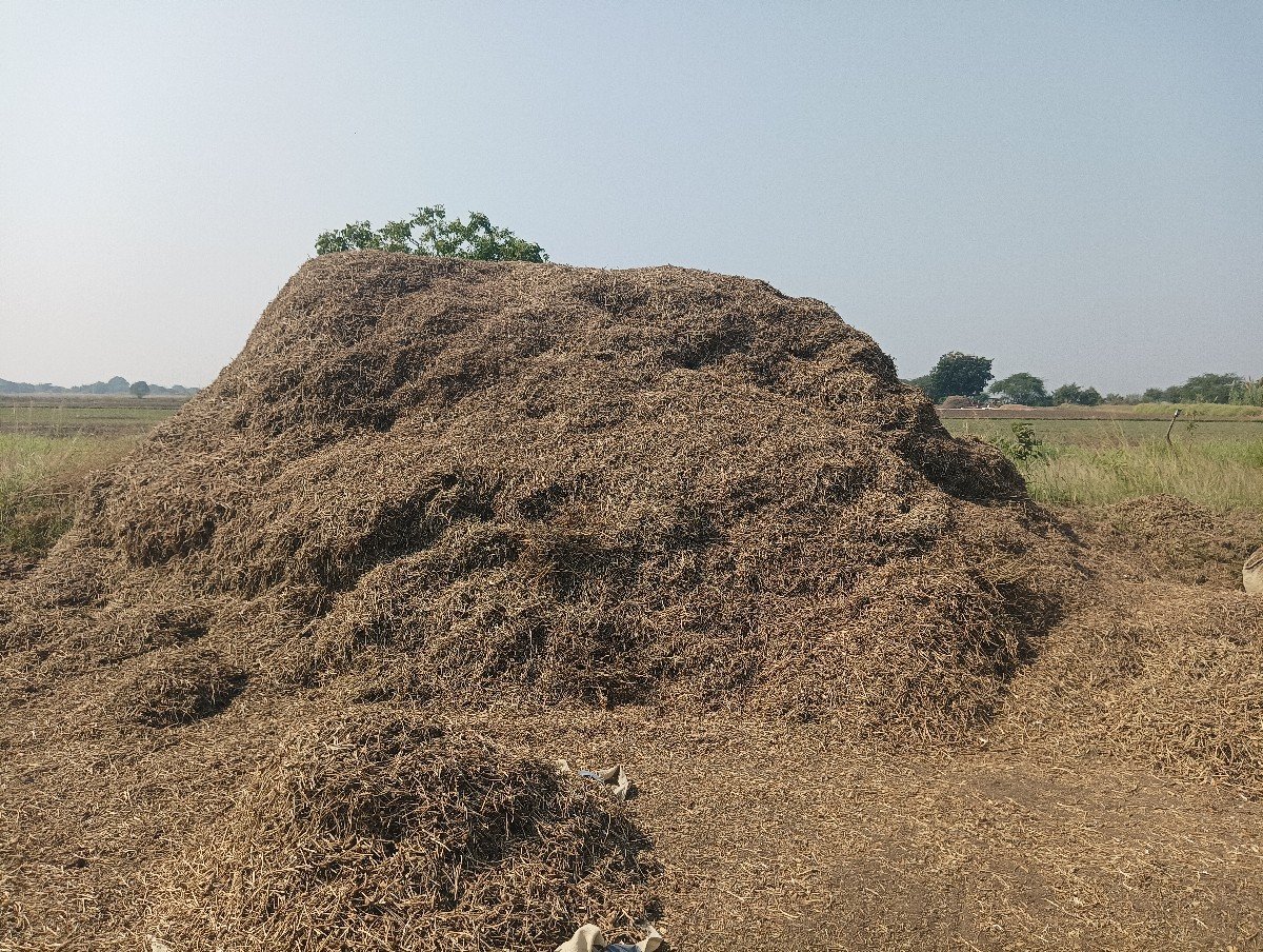 માંડવીયાનો ભૂકો વેચવાનો છે