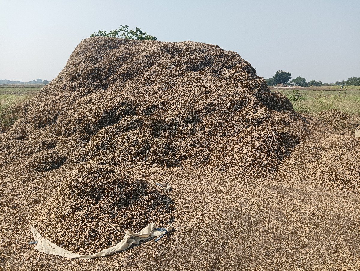 માંડવીયાનો ભૂકો વેચવાનો છે