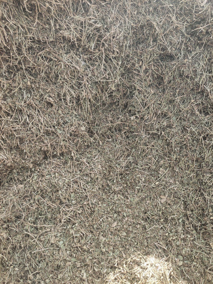 ગુજરાત ૧૧ મગફળી નો ભૂકો