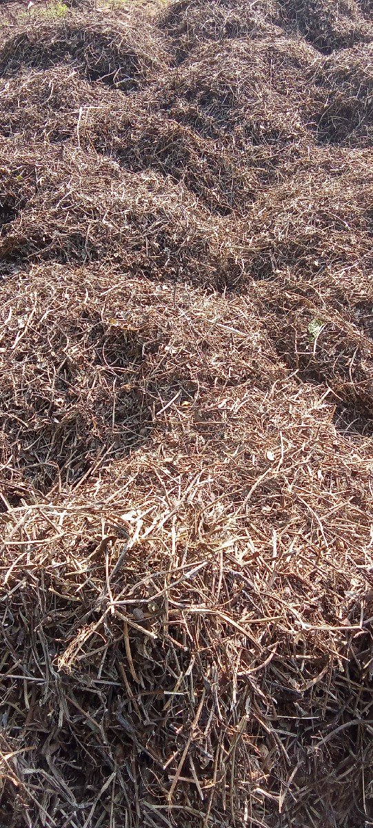 વિસ મગફળીનો ભૂકો વેચવાનો છે કોઈને લ