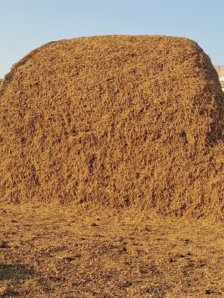 ભુકો વેચવાનો છે