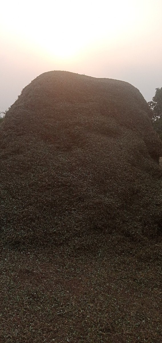 જે 20 નો પાલવ વેચવાનો છે