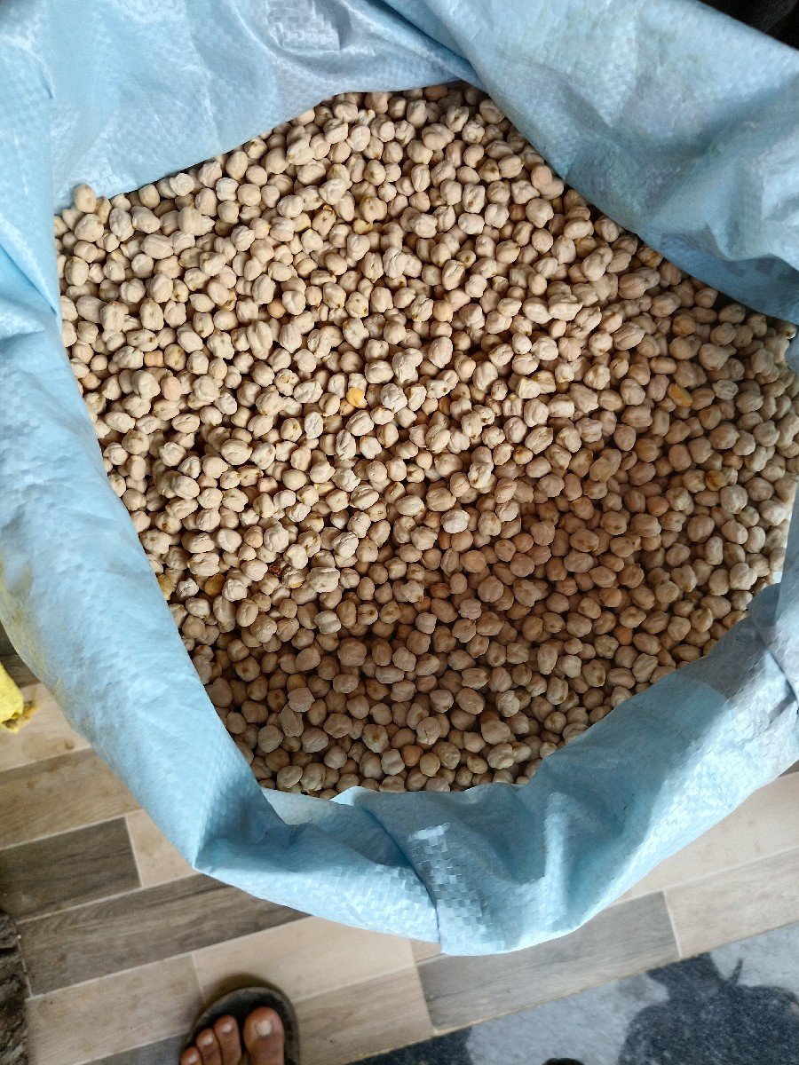 kabuli mota chana