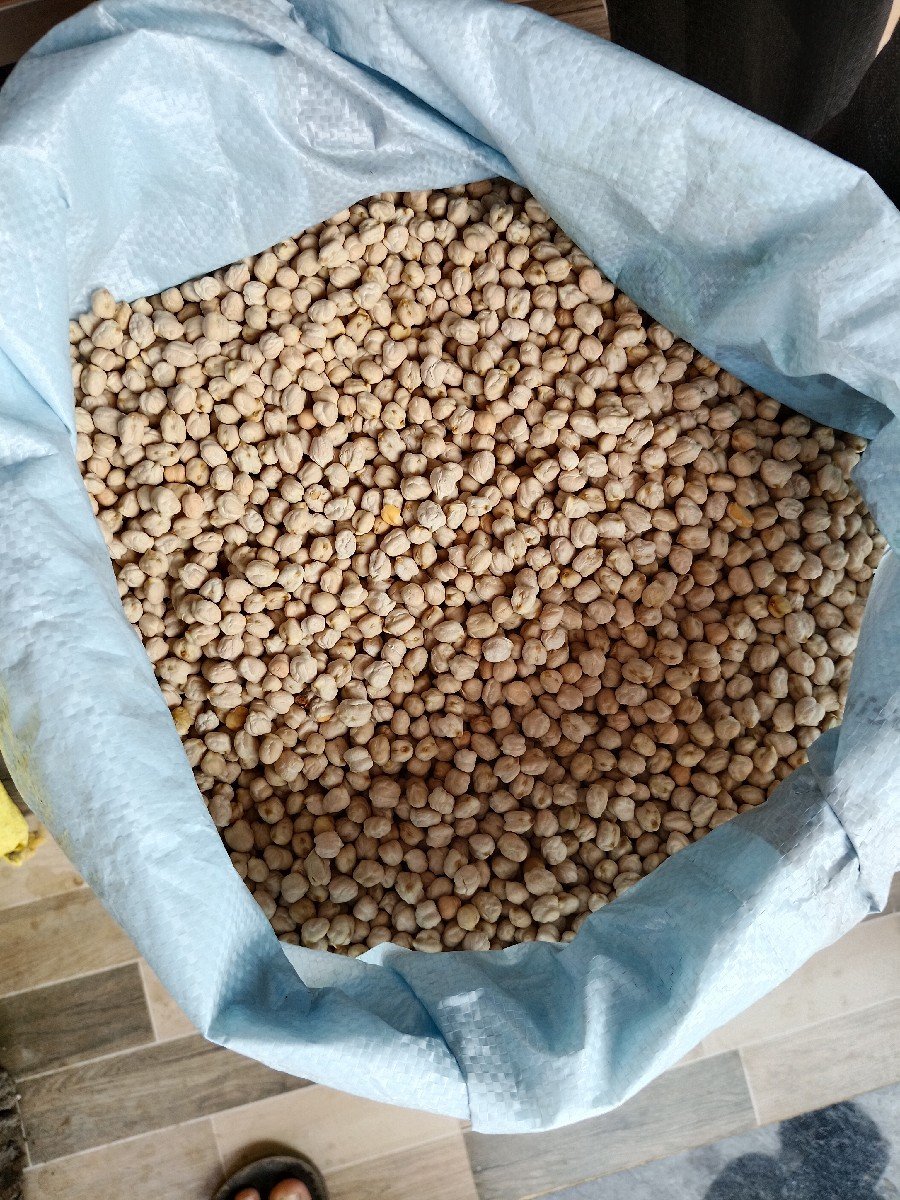 kabuli mota chana