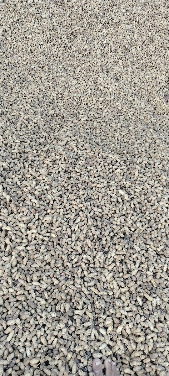 વેચવાનું છે