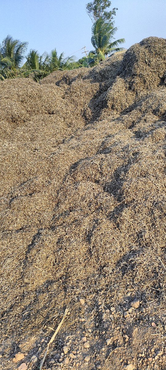 ભૂકો વેચવાનો છે