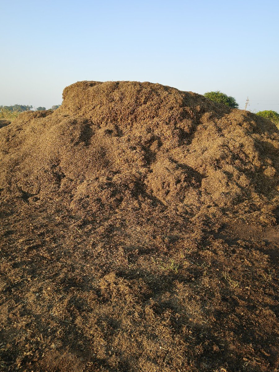 પાલો