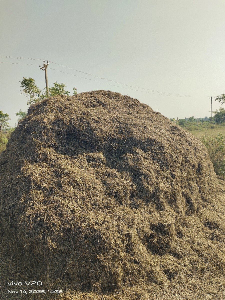 ભૂકો વેસવા નો સે