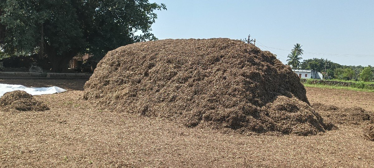 માંડવીયું વેશવાનું છે