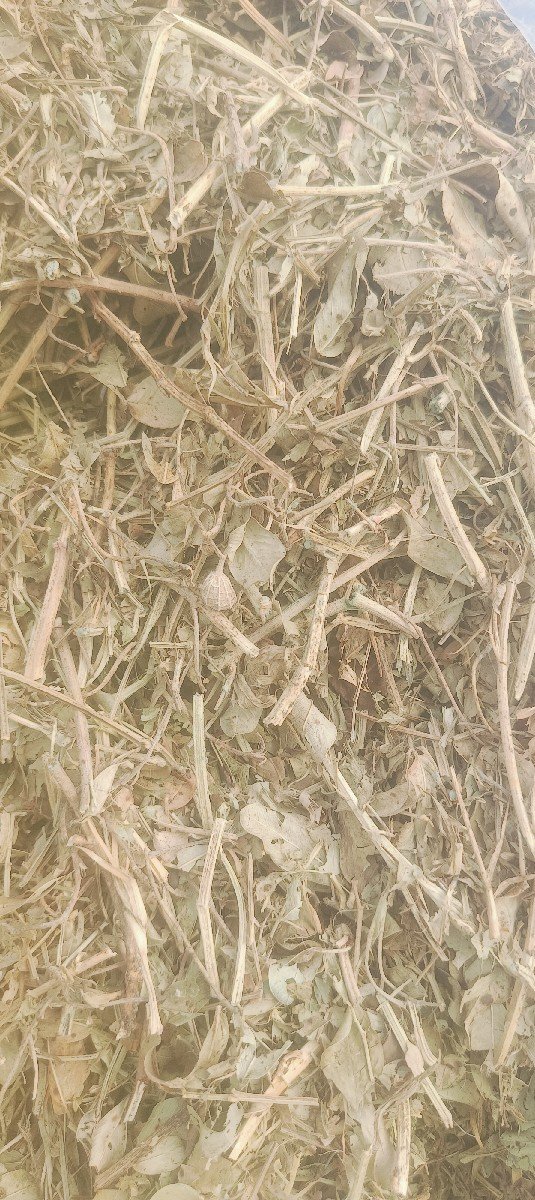 ભુક્કો વેચવાનો છે
