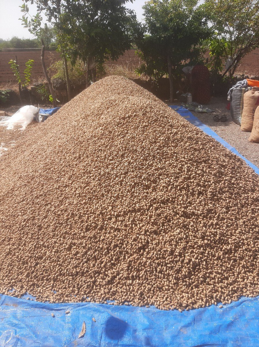 gam rupamora