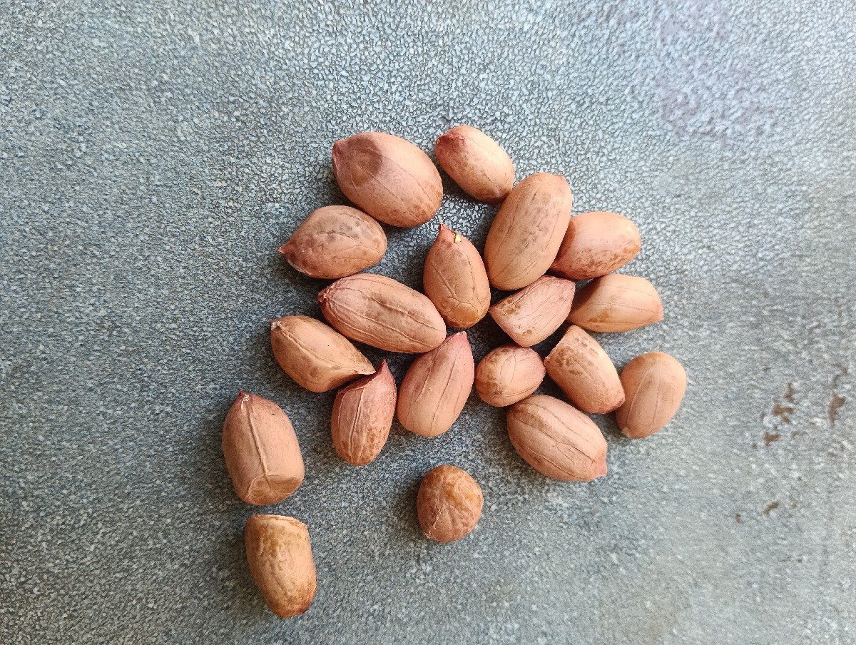 મગફલી નુ બિયારણ વેશવાનુ છે.