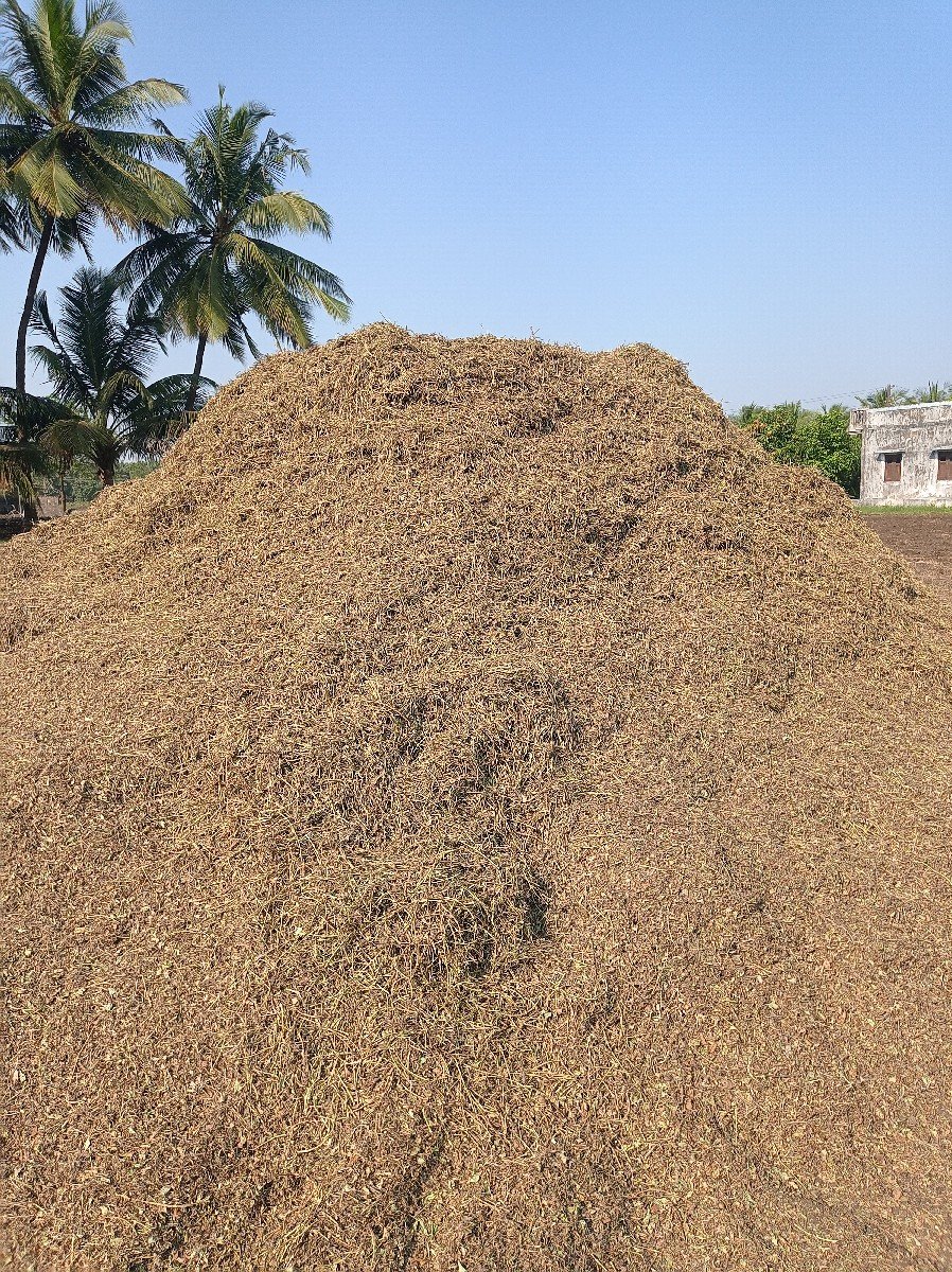 માંડવીનો ચારો વેચવાનો છે