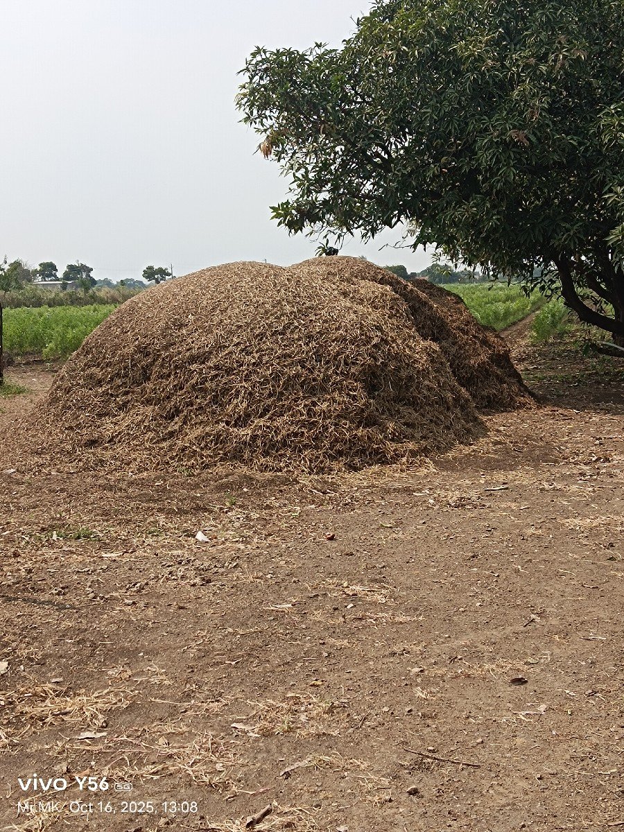 મગફળી નો પાલો વેચવાનો સે
