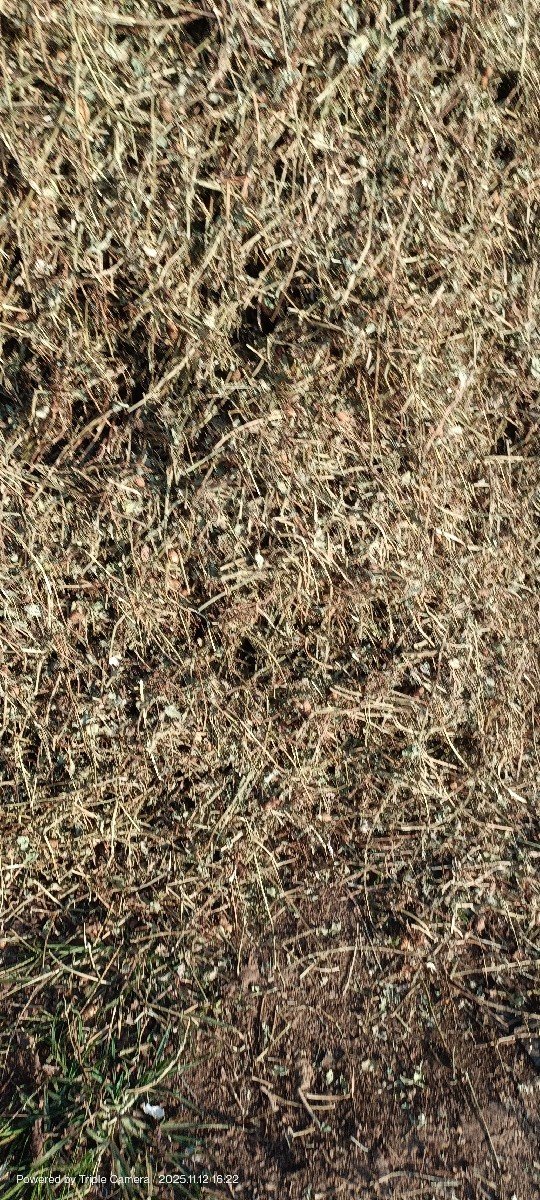 10 વીઘા નો ચારો મગફળી નો કોરો