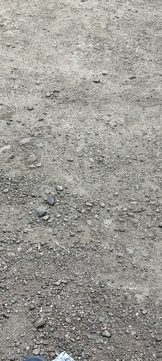 ભૂકો વેશવાનો છે