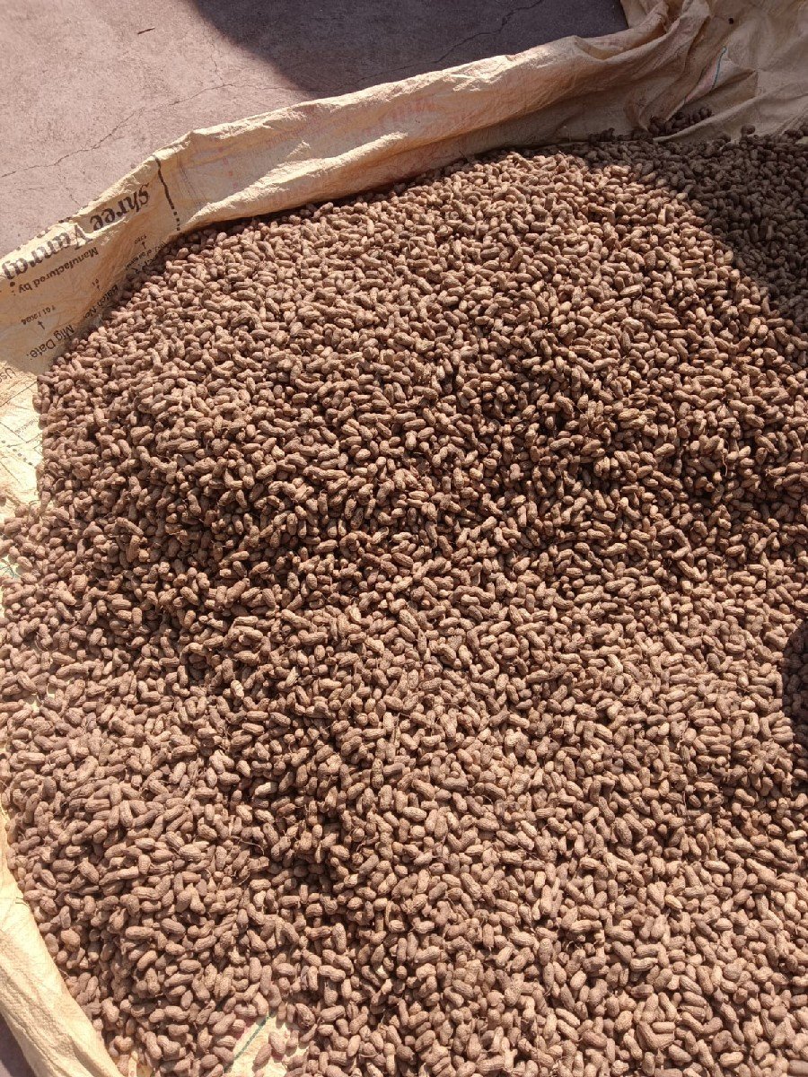 બિયારણ