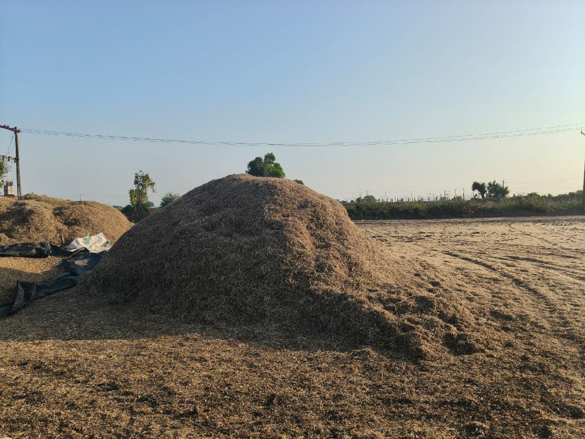 માંડવી નો ભૂકો વેંચવાનો છે