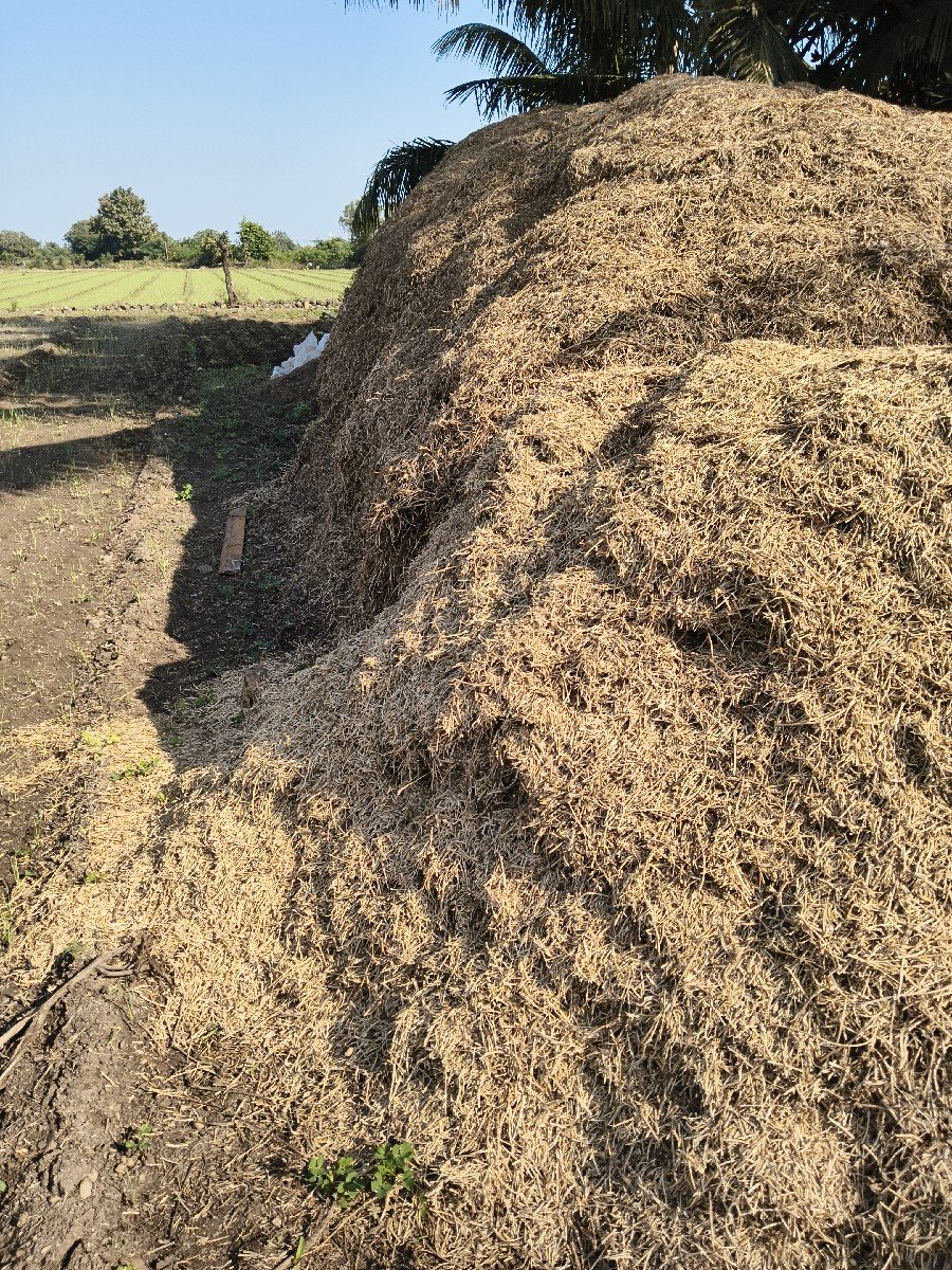 સારો દેવાનો છે