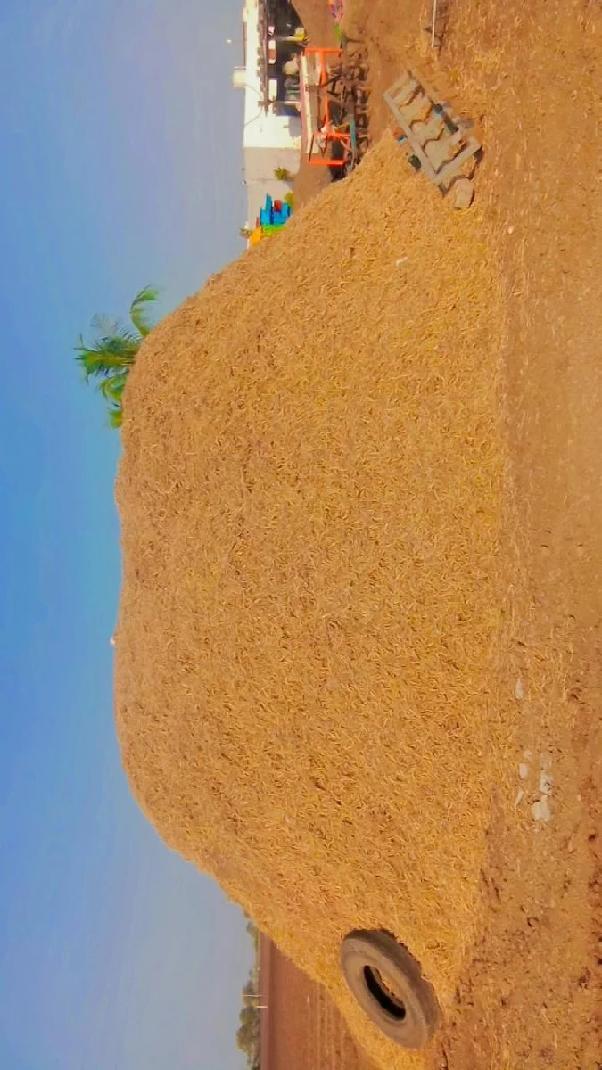 ભુકો વેચવાનોછે