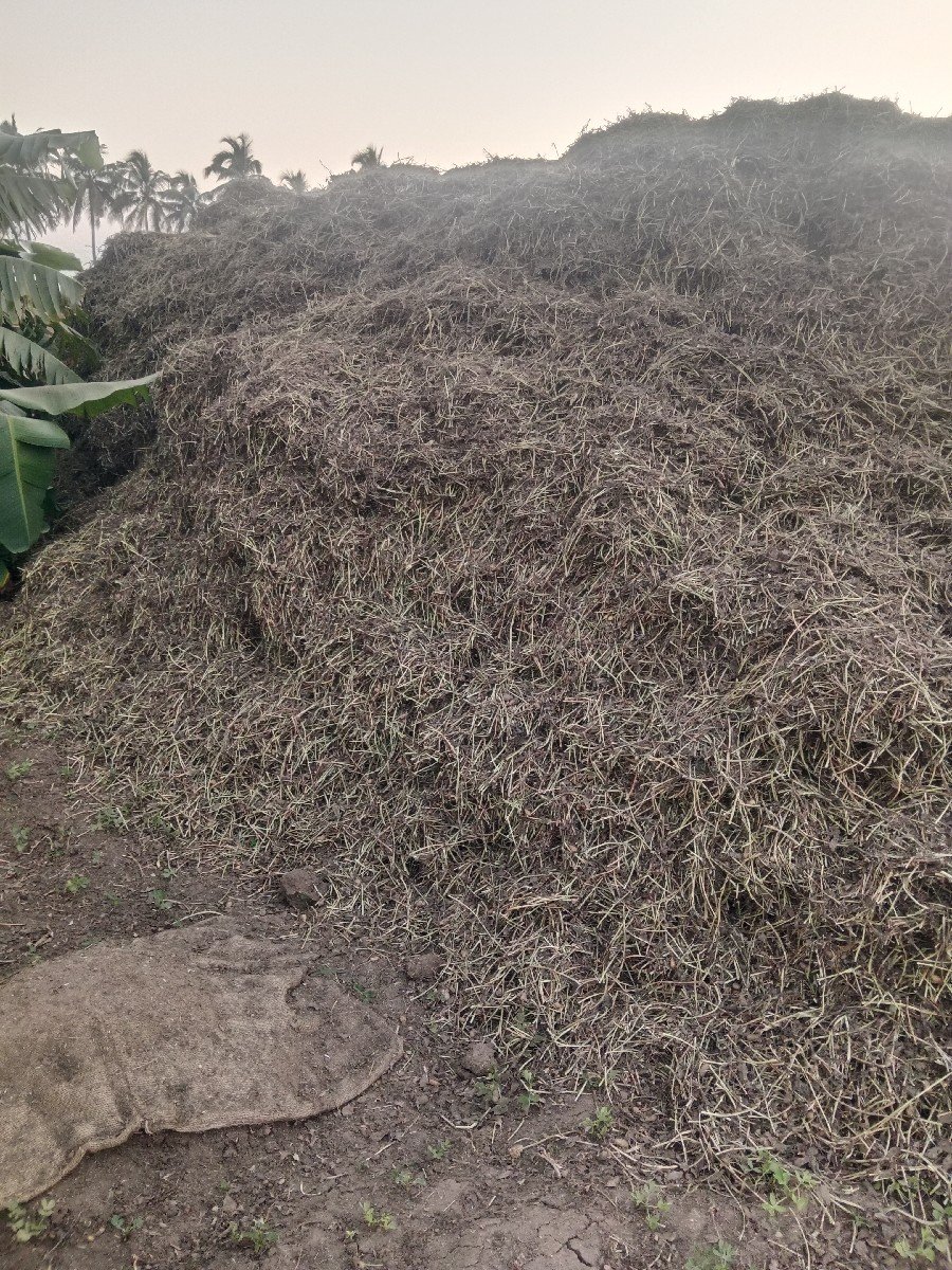 માડવીયુ.  વેચવાનું છે