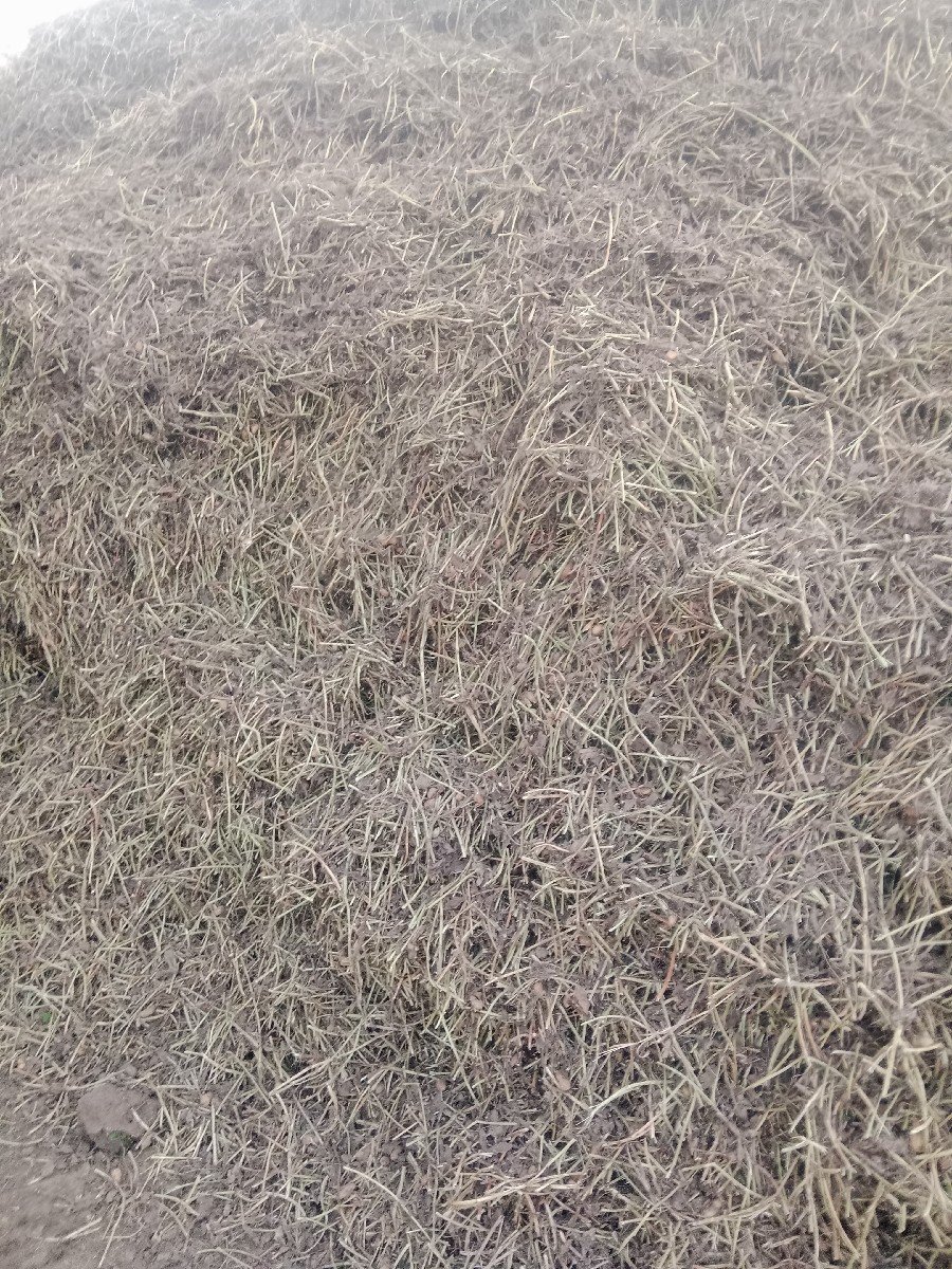 માડવીયુ.  વેચવાનું છે
