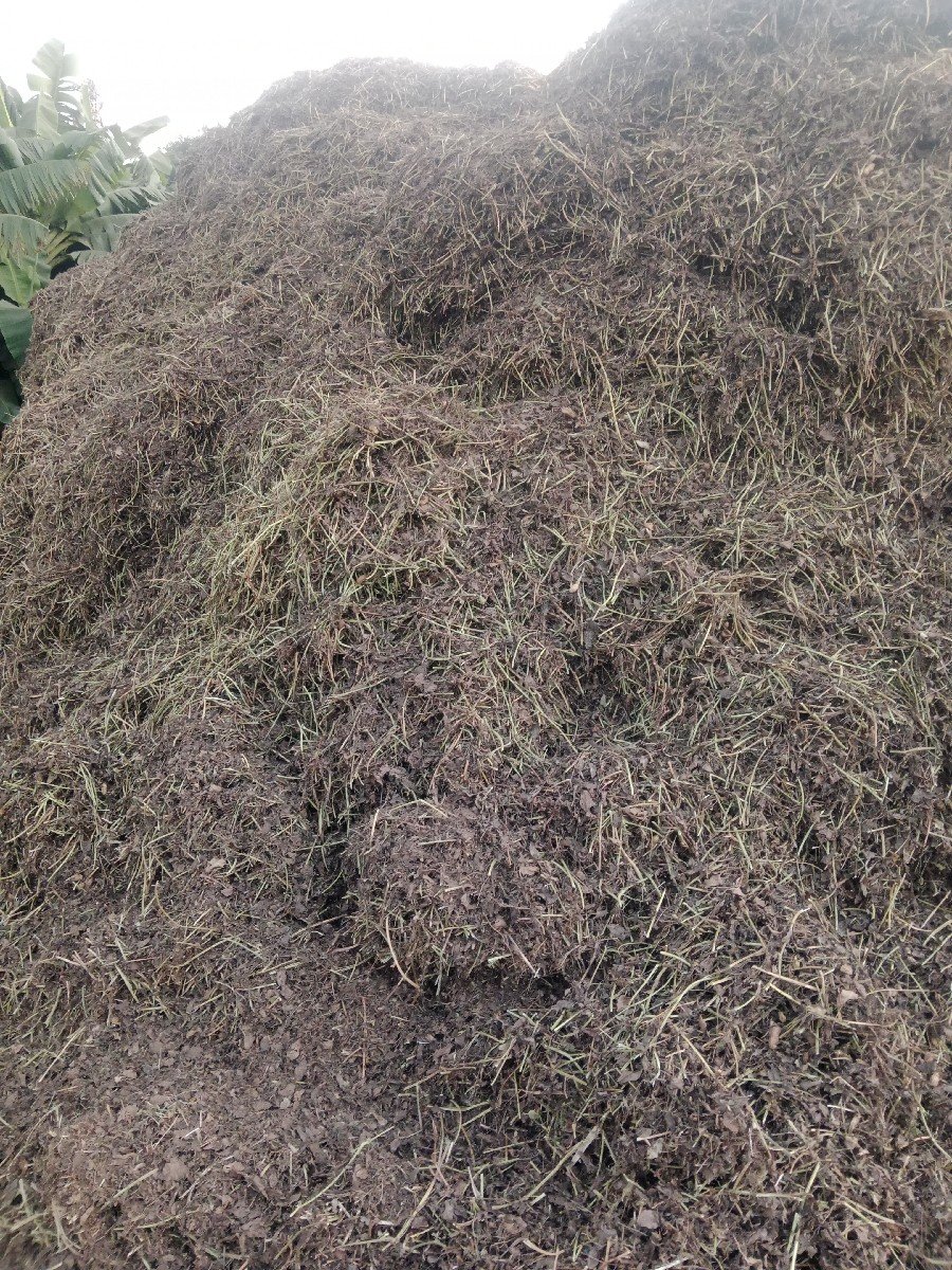 માડવીયુ.  વેચવાનું છે