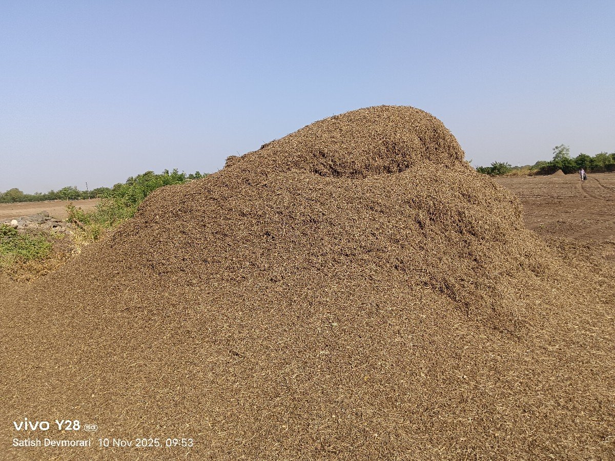 મગફળી નુ માંડવિયું વેશવાનુ છે