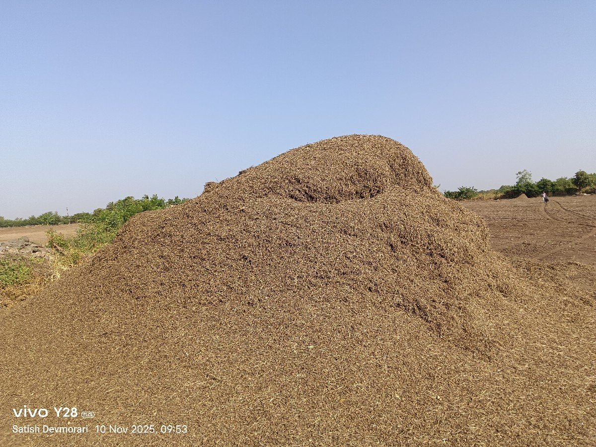 મગફળી નુ માંડવિયું વેશવાનુ છે