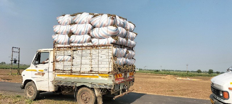 માંડવી નો ભૂકો દેવાનો છે