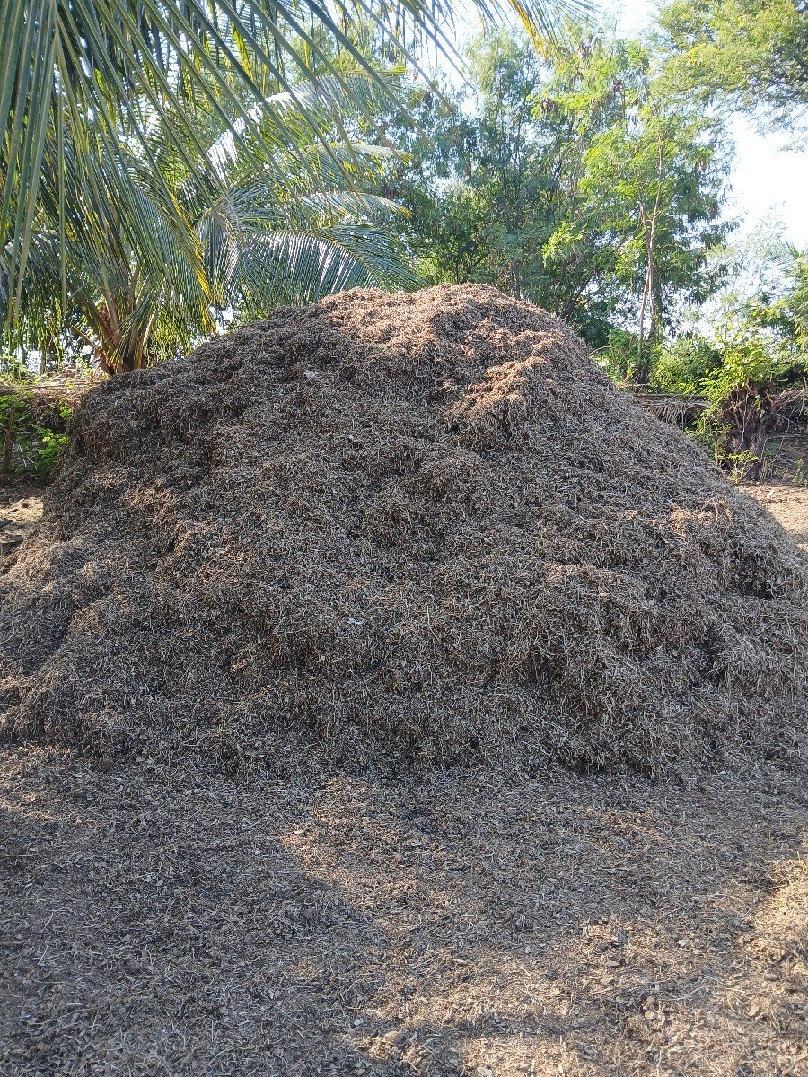 magotu