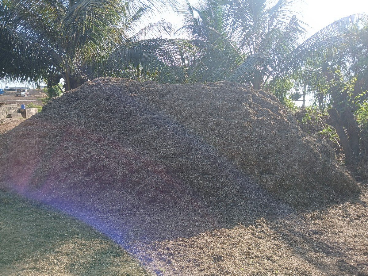 magotu