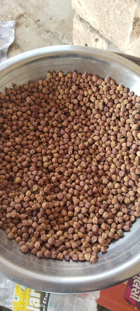 ચણા વેચવાના છે