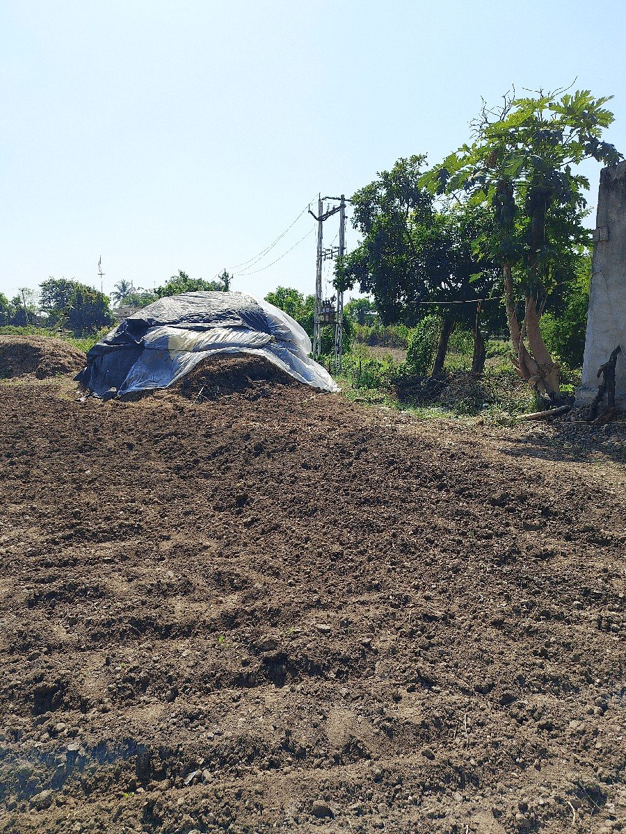 પાલો વેચવાનો છે  ૧૪ વિધાનો છે