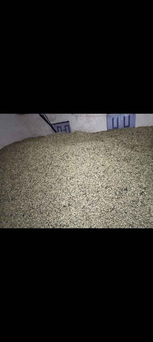 બીની માડવી વેશવાની શે. જી 20