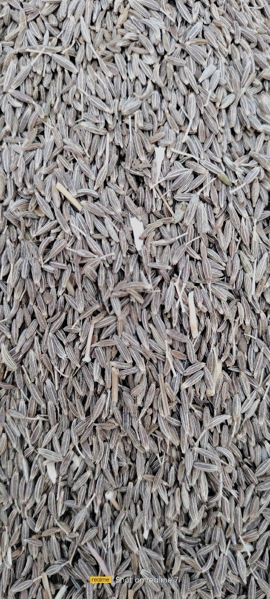 જીરું વેચવાનું છે