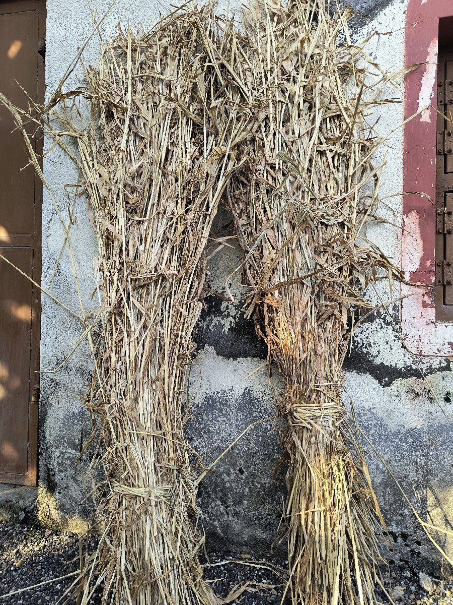 ગોંદ્રી જુવાર ની ચાર