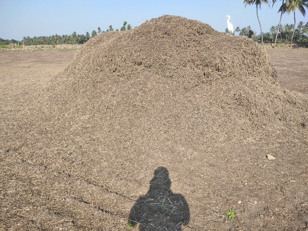 માંડવી ના ભૂકો
