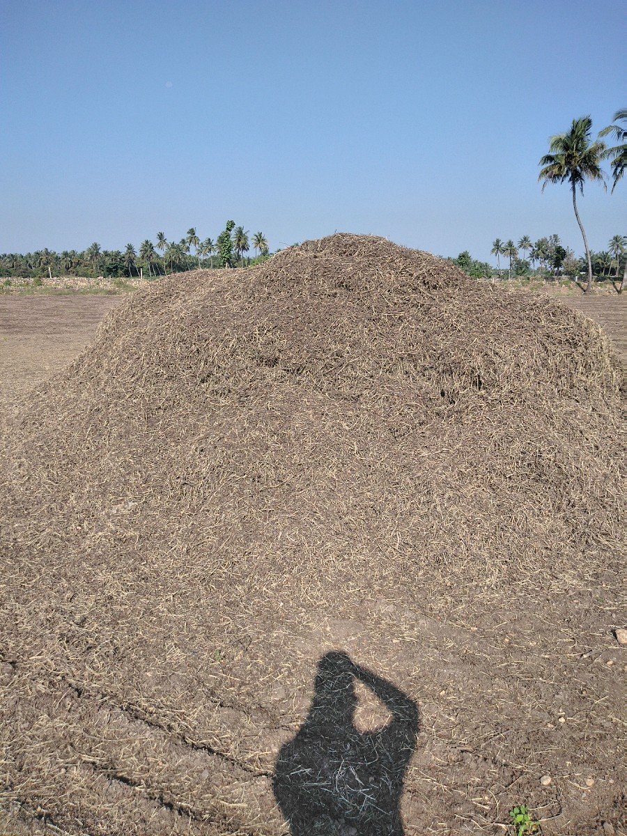 માંડવી ના ભૂકો