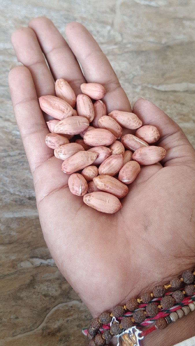 39 નંબર માંડવી નું બી.