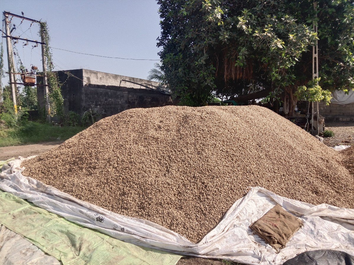 જી 20  મગફરી વેશવાની શે 1450