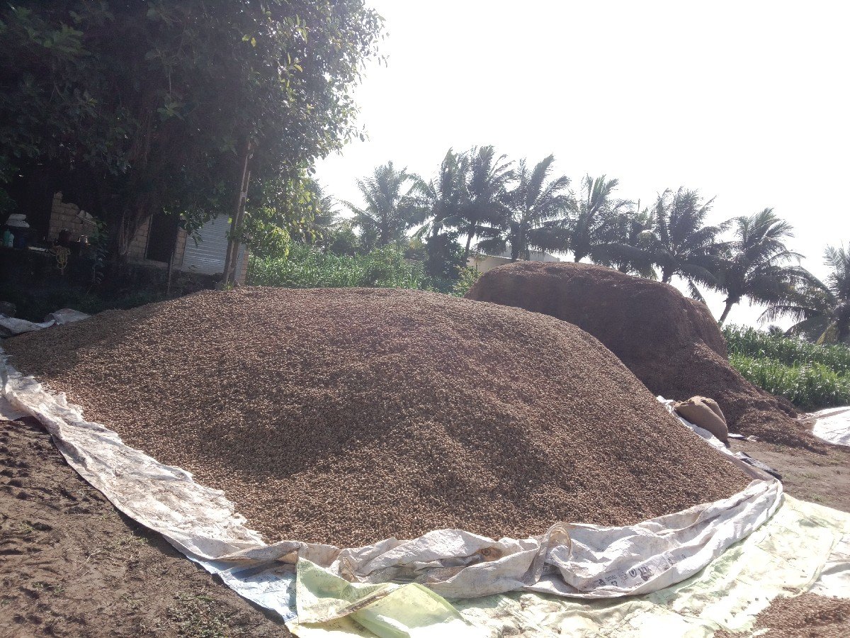 જી 20  મગફરી વેશવાની શે 1450