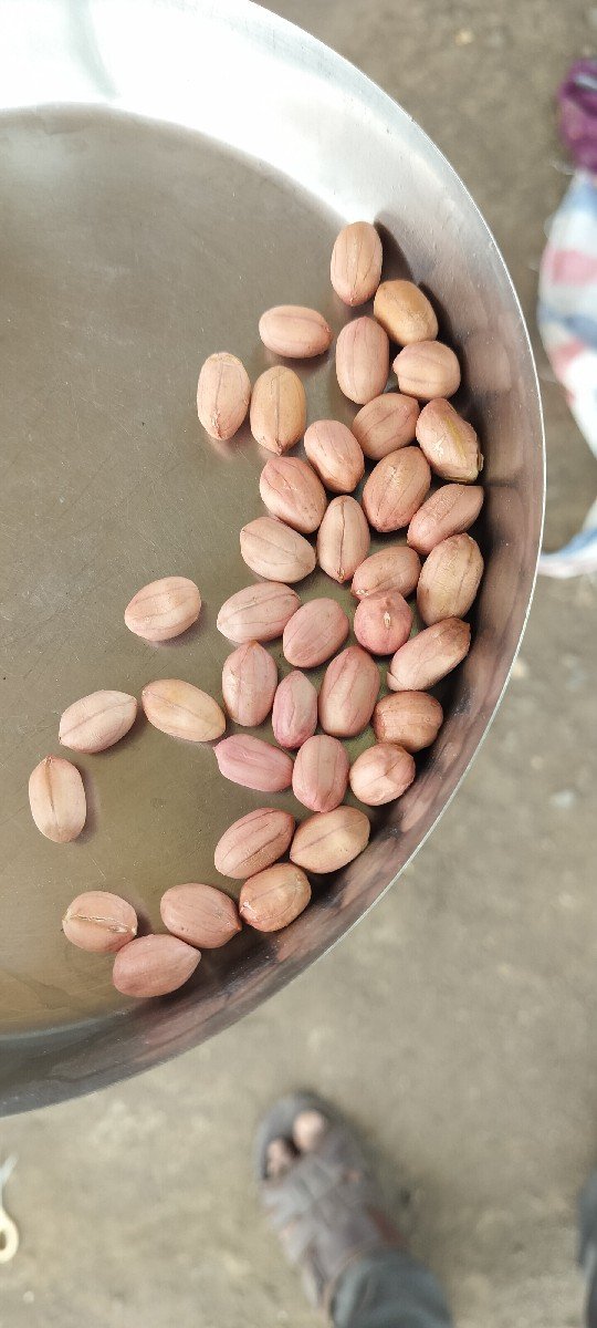 મિનાક્ષી માંડવી નુ બી