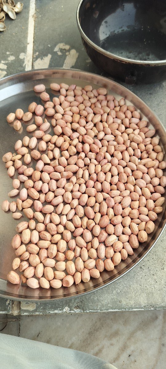 મિનાક્ષી માંડવી નુ બી