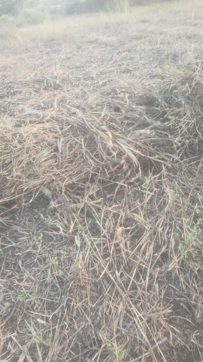 જાર