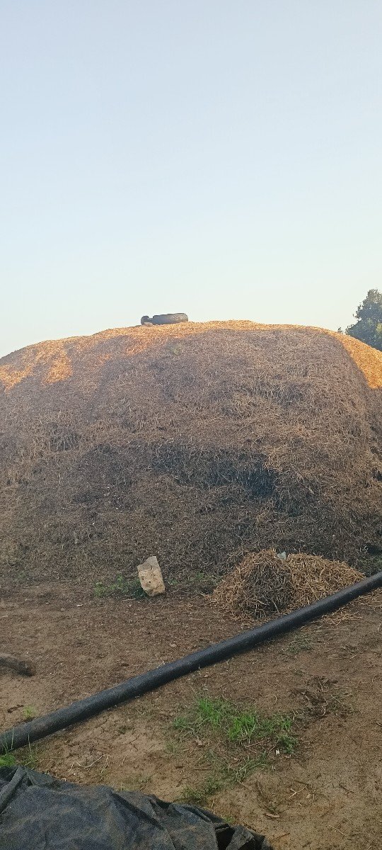 જી ૨૦ મગફળી નૌ ભૂકો